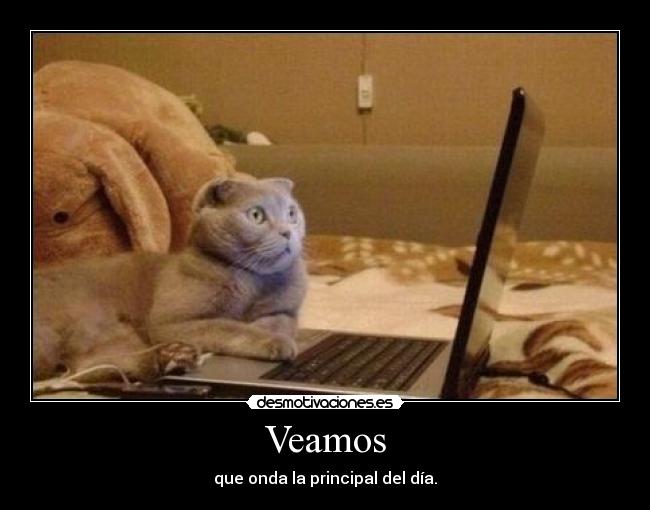 Veamos - que onda la principal del día.