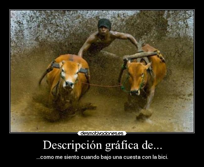 Descripción gráfica de... -