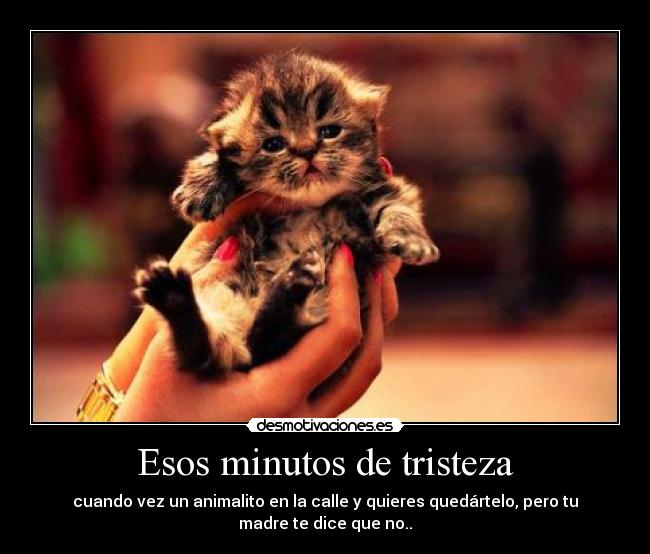 Esos minutos de tristeza - 