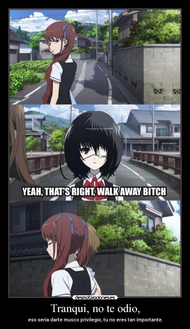 Tranqui, no te odio, - eso seria darte musco privilegio, tu no eres tan importante.