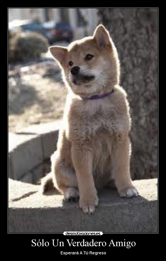 Sólo Un Verdadero Amigo - 