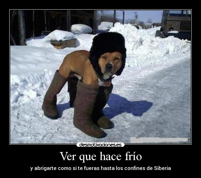 Ver que hace frío -