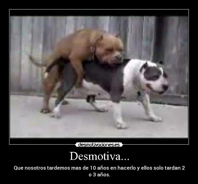 Desmotiva... - 