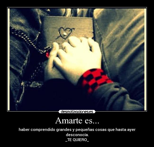 Amarte es... - haber comprendido grandes y pequeñas cosas que hasta ayer desconocía.
_TE QUIERO_