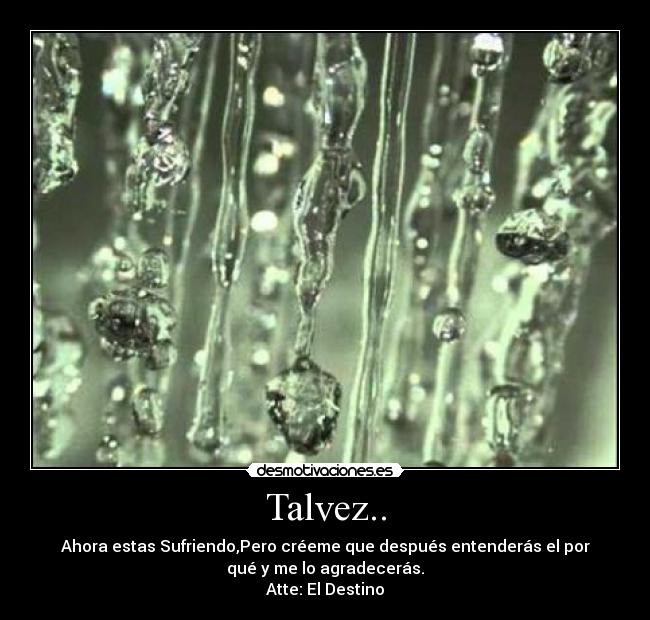 Talvez.. - 