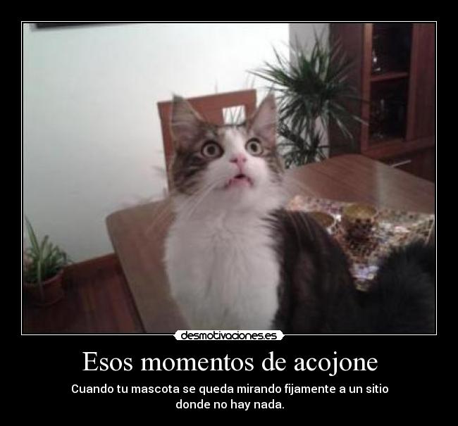 Esos momentos de acojone -