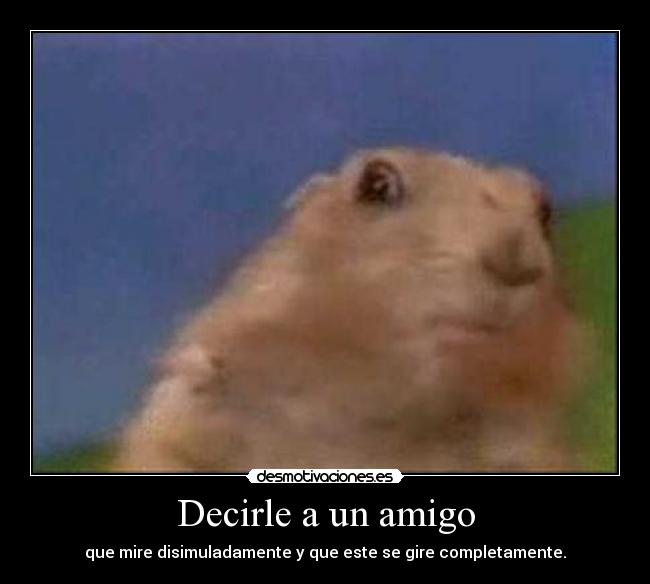 Decirle a un amigo - que mire disimuladamente y que este se gire completamente.