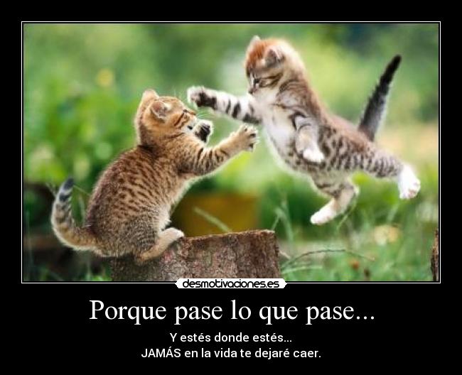 Porque pase lo que pase... -