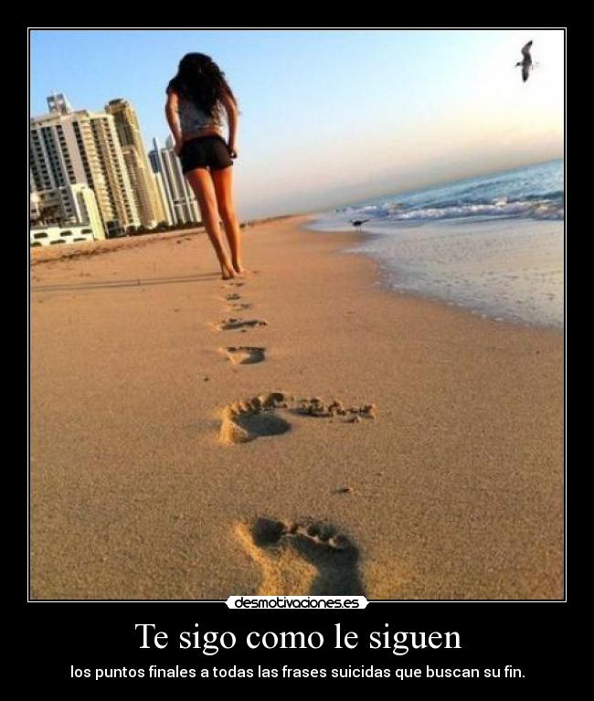 Te sigo como le siguen - 