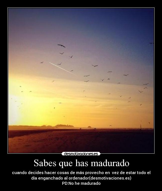 carteles burrimienrto desmotivaciones