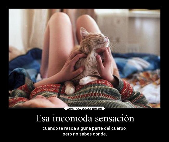 carteles paso ayer estresantemente desagradable queria arrancarme piel desmotivaciones