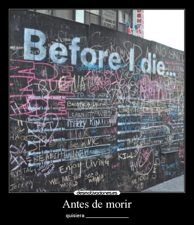 Antes de morir - quisiera __________________