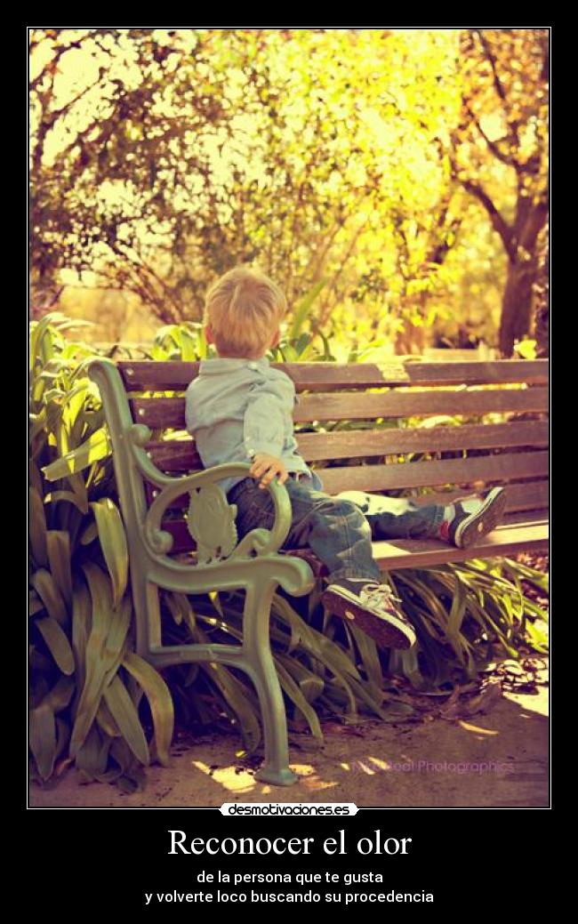 Reconocer el olor - 