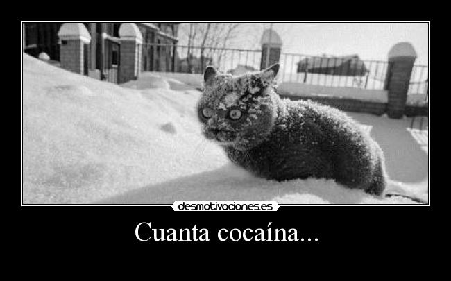 Cuanta cocaína... -