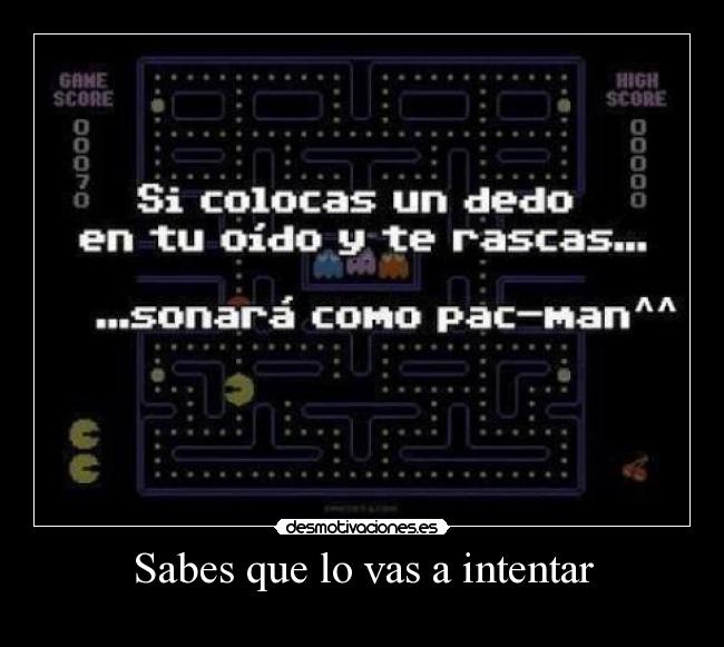 carteles hijogaydewaltk todos gays xddddd desmotivaciones