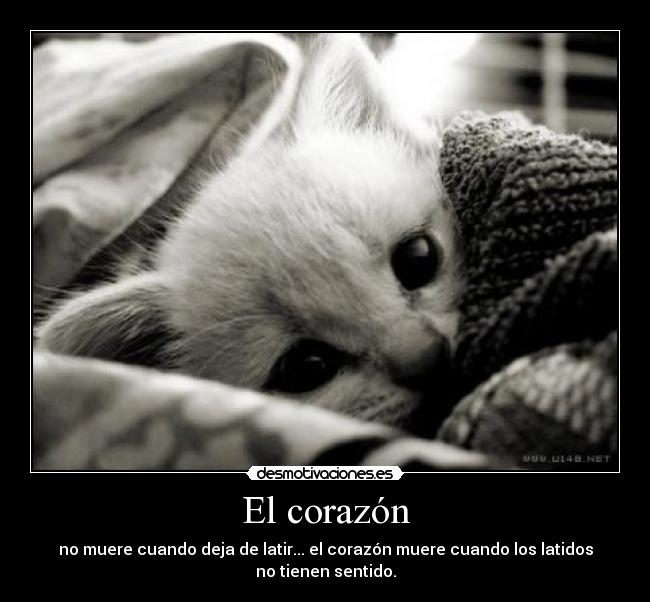 El corazón - 
