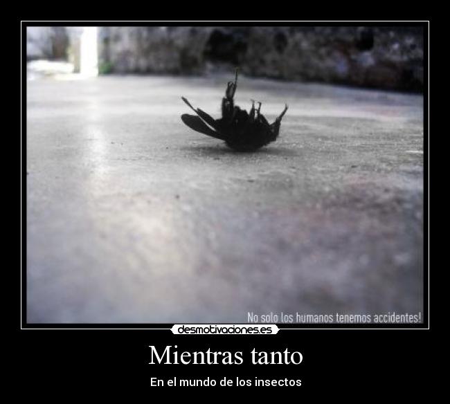 carteles insecticida desmotivaciones