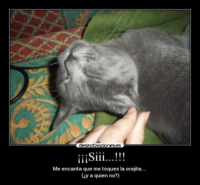 ¡¡¡Siii...!!! - Me encanta que me toques la orejita.... 
(¿y a quien no?)