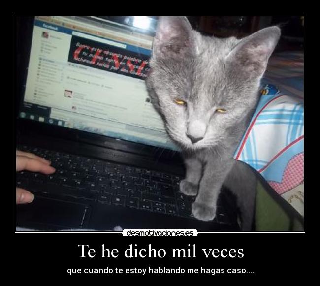 Te he dicho mil veces - que cuando te estoy hablando me hagas caso....