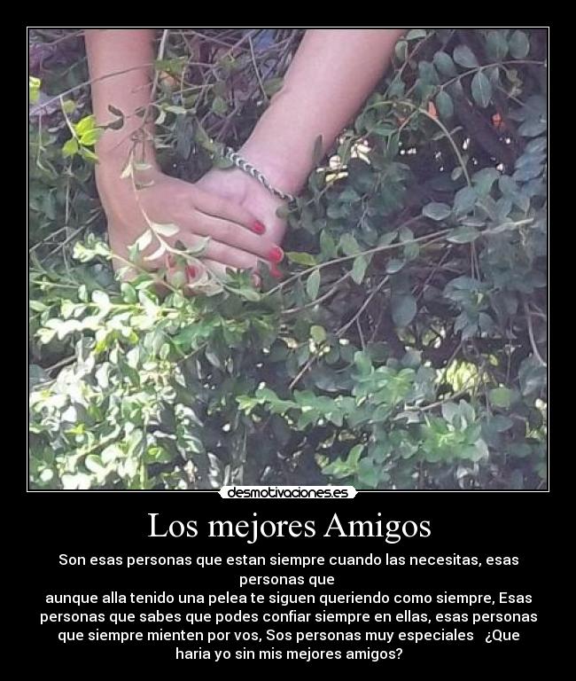 Los mejores Amigos -