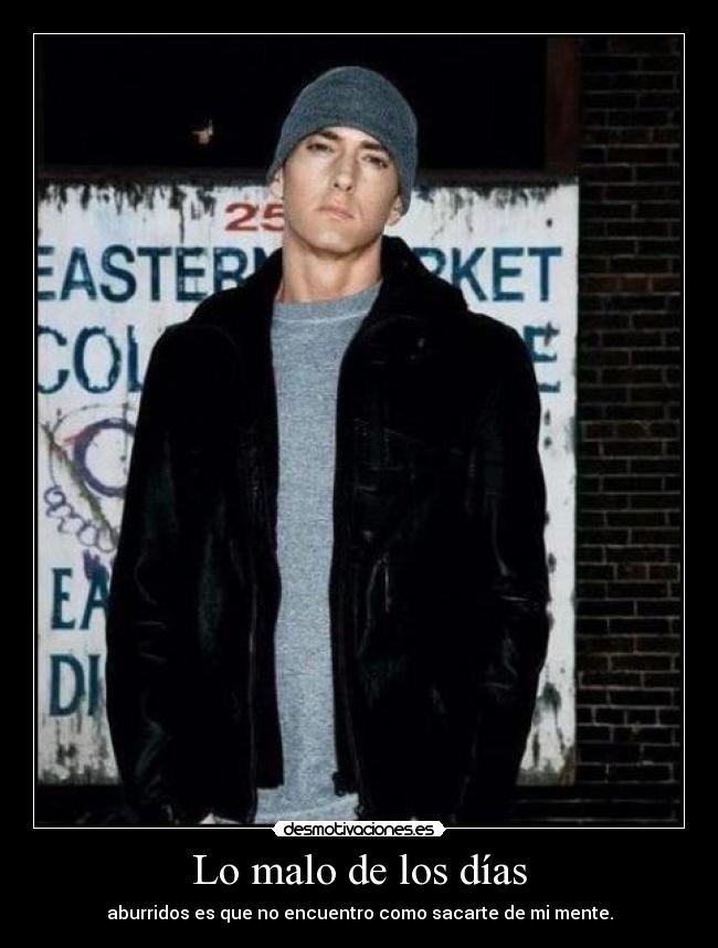 carteles dias gaga eminem todos littlemonster ama pendejo risa amor desmotivaciones