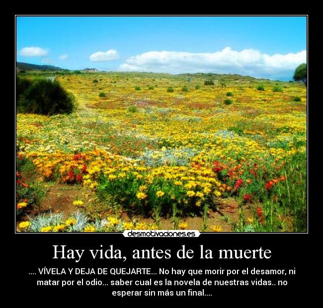 Hay vida, antes de la muerte - .... VÍVELA Y DEJA DE QUEJARTE... No hay que morir por el desamor, ni
matar por el odio... saber cual es la novela de nuestras vidas.. no
esperar sin más un final....