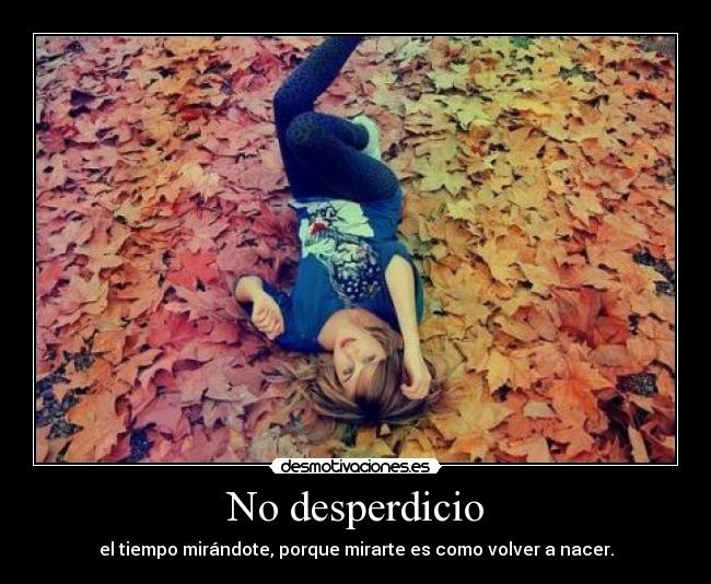 No desperdicio - el tiempo mirándote, porque mirarte es como volver a nacer.