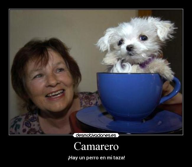 Camarero - ¡Hay un perro en mi taza!