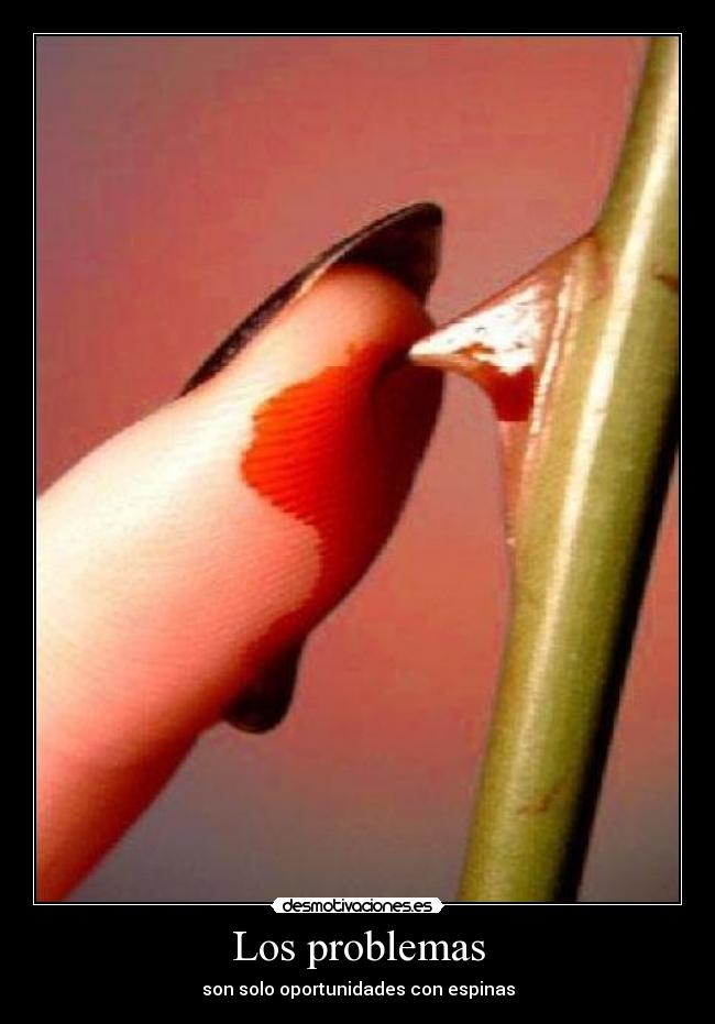carteles problemas nereadp desmotivaciones
