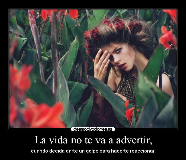 La vida no te va a advertir, - 