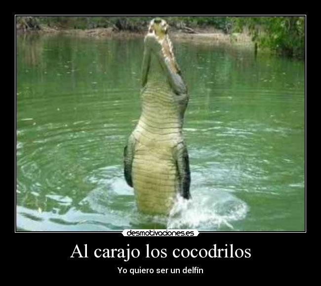 Al carajo los cocodrilos - 