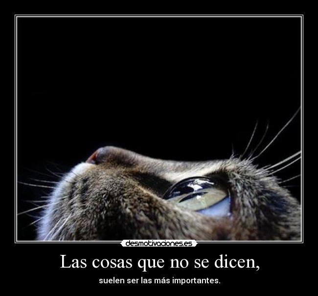 Las cosas que no se dicen, - suelen ser las más importantes.