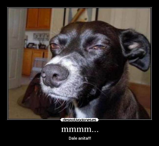 carteles anita 2012 desmotivaciones