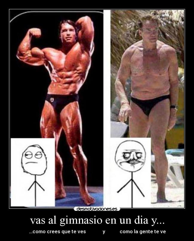 vas al gimnasio en un dia y... - 