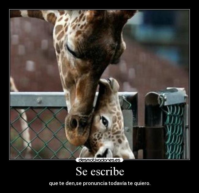 Se escribe - que te den,se pronuncia todavía te quiero.