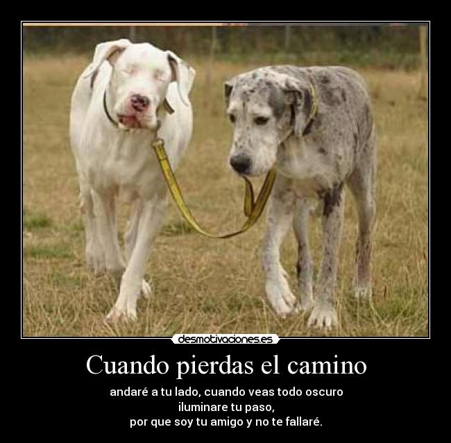 Cuando pierdas el camino -