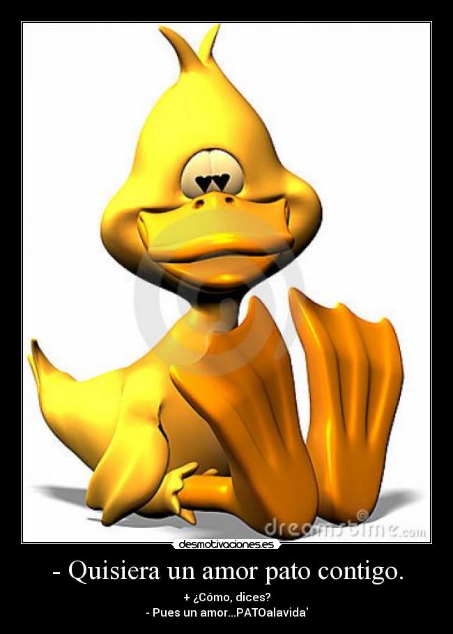 - Quisiera un amor pato contigo. - + ¿Cómo, dices?
- Pues un amor...PATOalavida