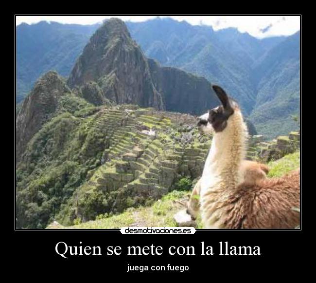 Quien se mete con la llama - 