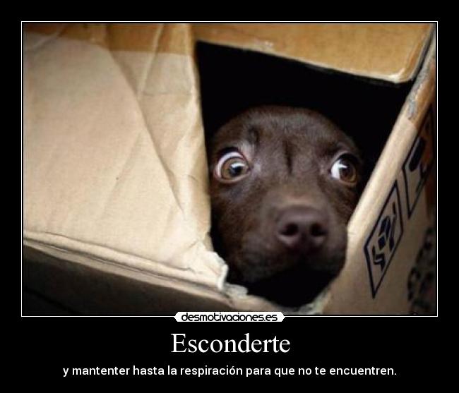 Esconderte - 