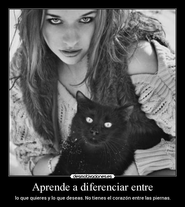 Aprende a diferenciar entre - lo que quieres y lo que deseas. No tienes el corazón entre las piernas.