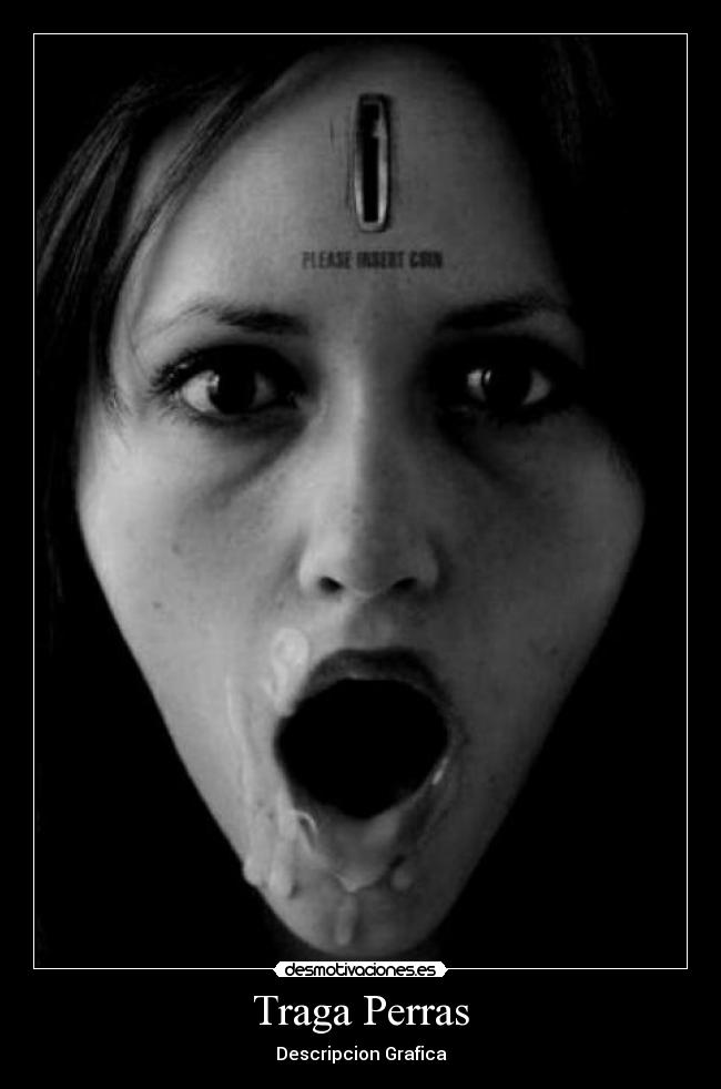 Traga Perras - Descripcion Grafica
