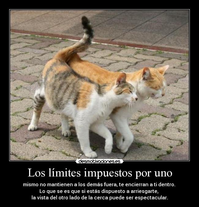 Los límites impuestos por uno - 