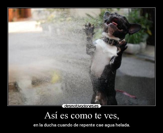 Así es como te ves, -