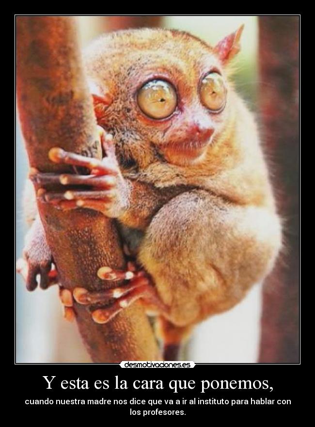 Y esta es la cara que ponemos, -