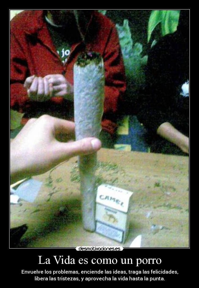 La Vida es como un porro - Envuelve los problemas, enciende las ideas, traga las felicidades,
libera las tristezas, y aprovecha la vida hasta la punta.