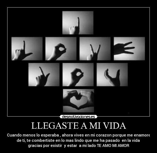 LLEGASTE A MI VIDA -