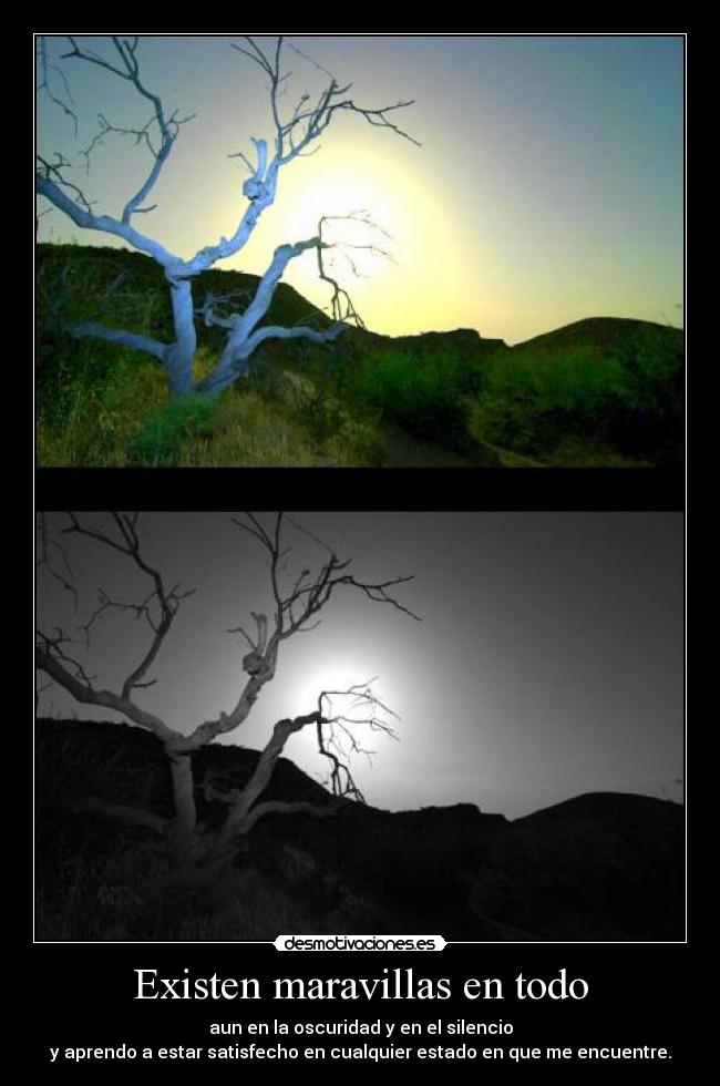 Existen maravillas en todo -