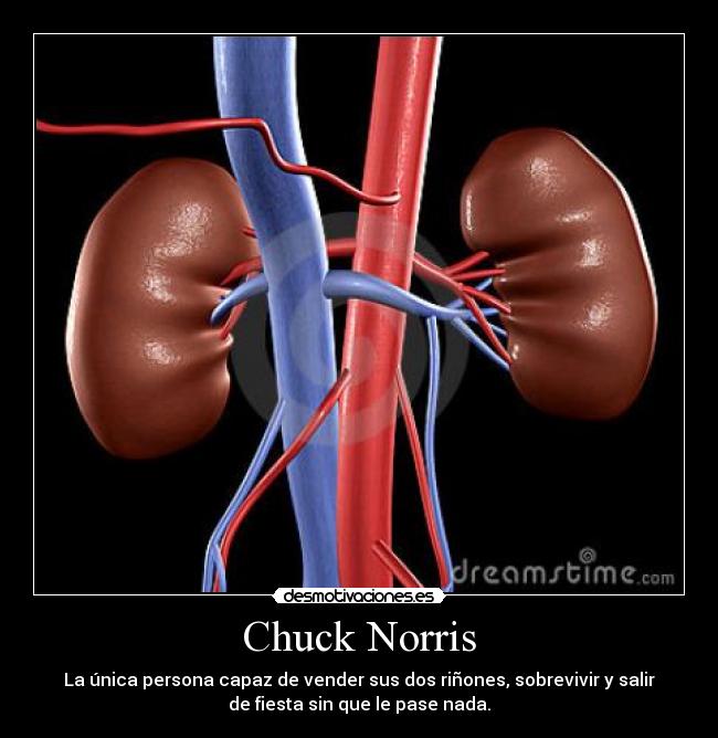 Chuck Norris - La única persona capaz de vender sus dos riñones, sobrevivir y salir
de fiesta sin que le pase nada.