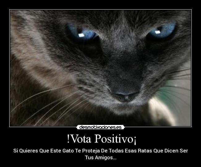 !Vota Positivo¡ - Si Quieres Que Este Gato Te Proteja De Todas Esas Ratas Que Dicen Ser
Tus Amigos...