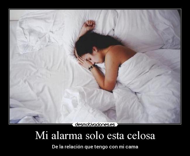 Mi alarma solo esta celosa - 